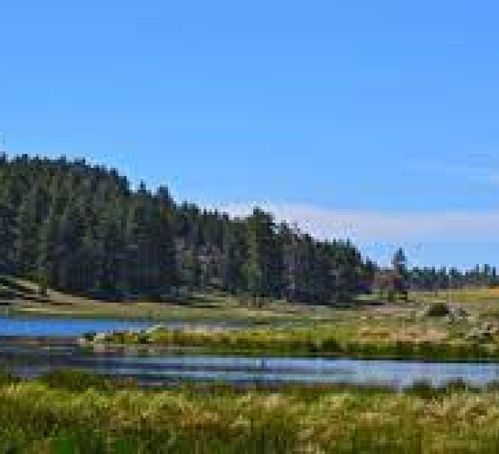 Laguna Mountain Area - Cleveland National Forest | The Borrego Experience